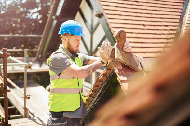 Roof Gutter Cleaning in Creve Coeur, IL